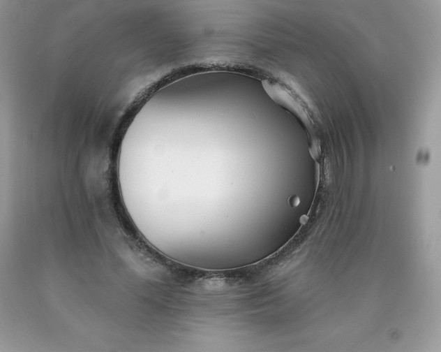 X0000090440588200707272156