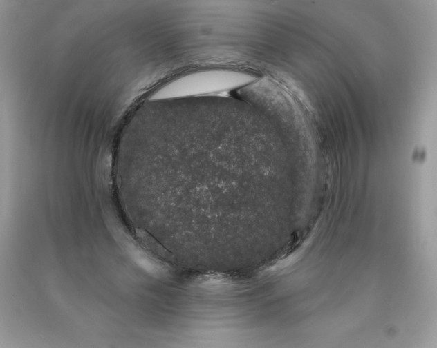 X0000090440589200707272156