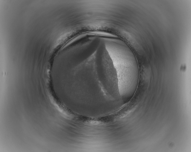 X0000090440590200707272156