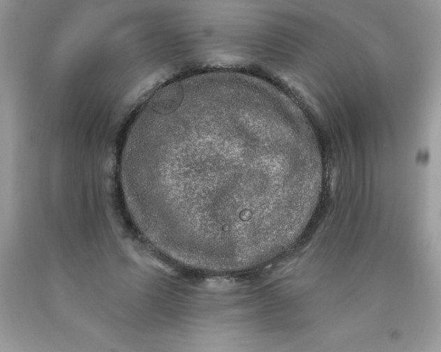 X0000090440591200707272156