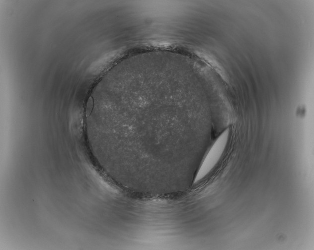 X0000090440593200707272156