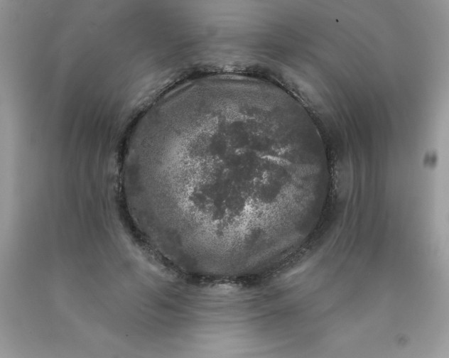 X0000090440594200707272156