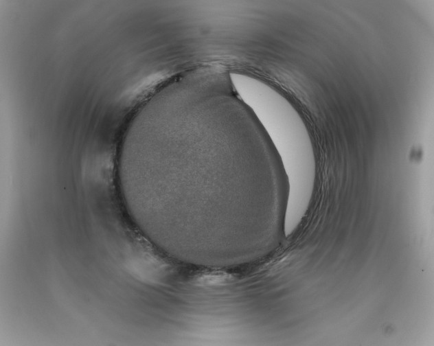 X0000090440595200707272156