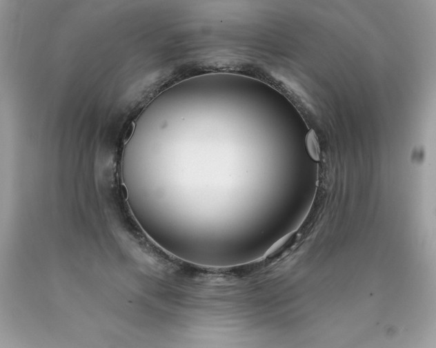 X0000090440597200707272156