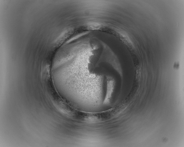 X0000090440598200707272156