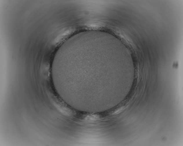 X0000090440599200707272156