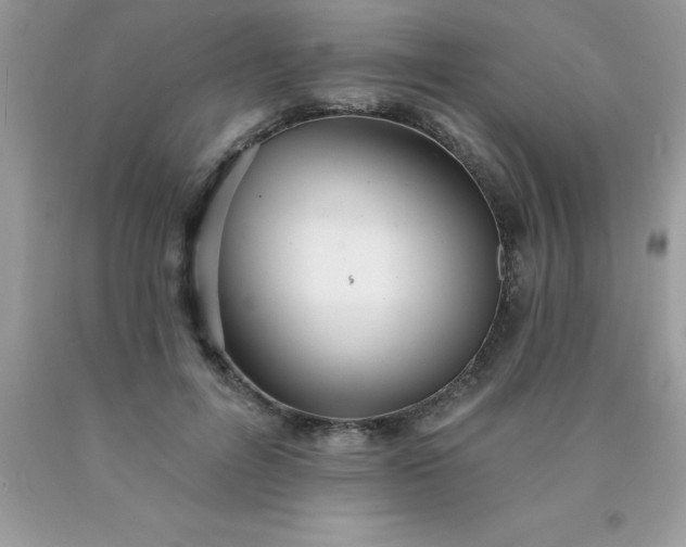 X0000090440600200707272156