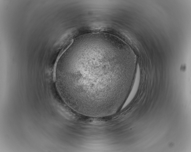 X0000090440601200707272156