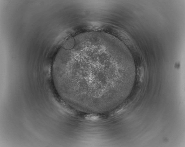 X0000090440602200707272156