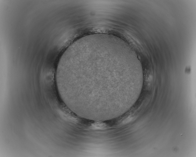 X0000090440603200707272156