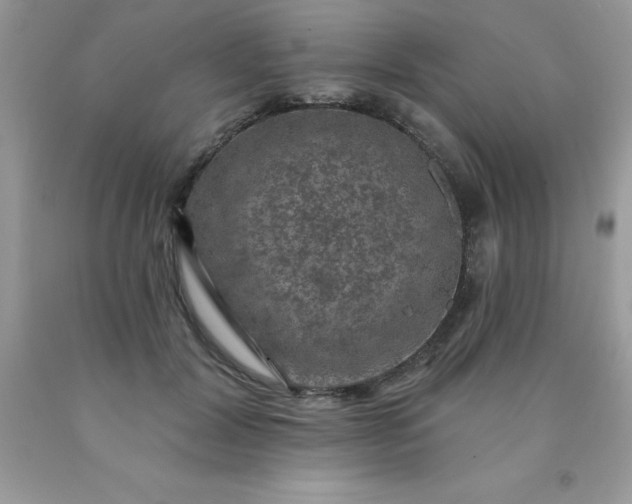 X0000090440604200707272156