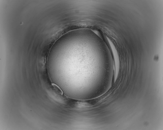 X0000090440605200707272156