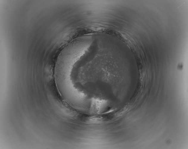 X0000090440606200707272156