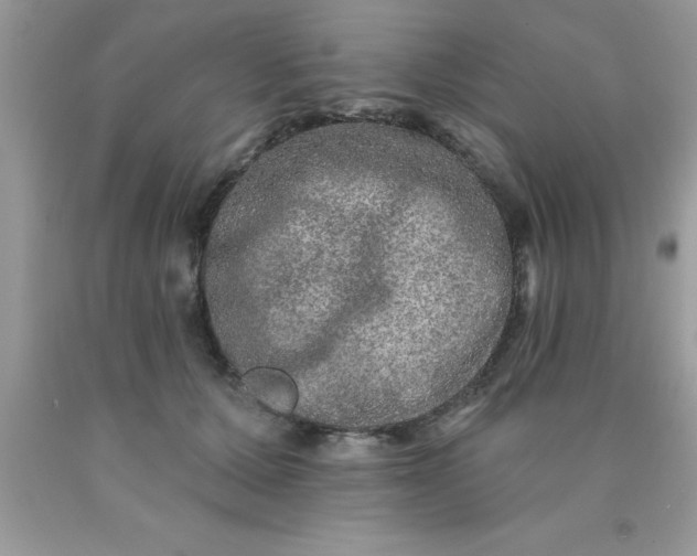 X0000090440607200707272156