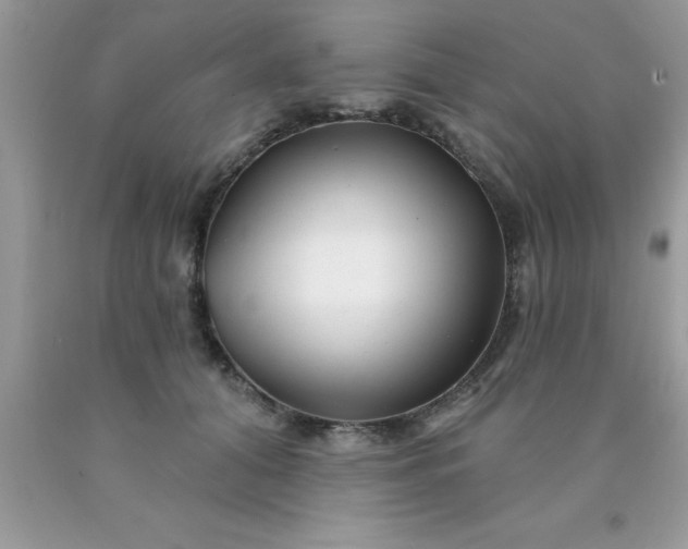 X0000090440608200707272156