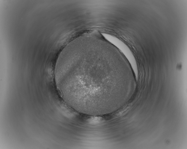 X0000090440609200707272156