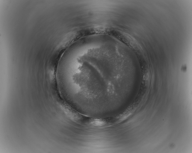 X0000090440610200707272156