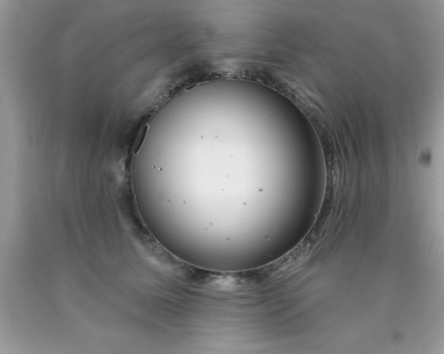 X0000090440611200707272156