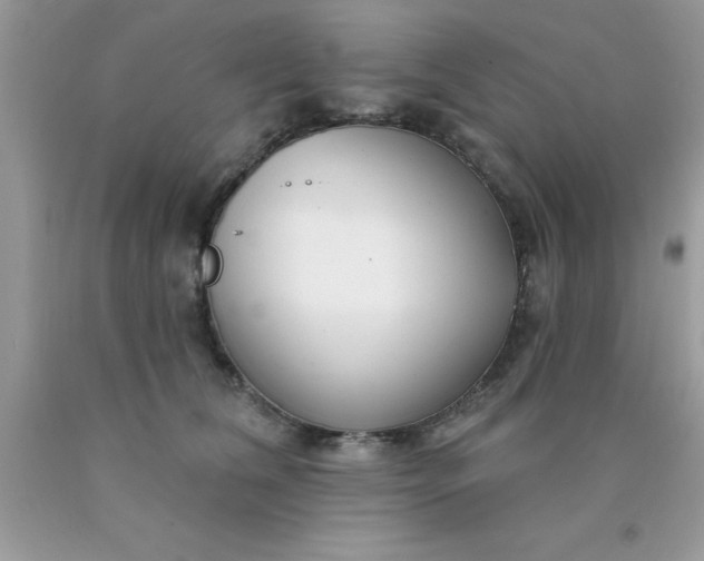 X0000090440612200707272156