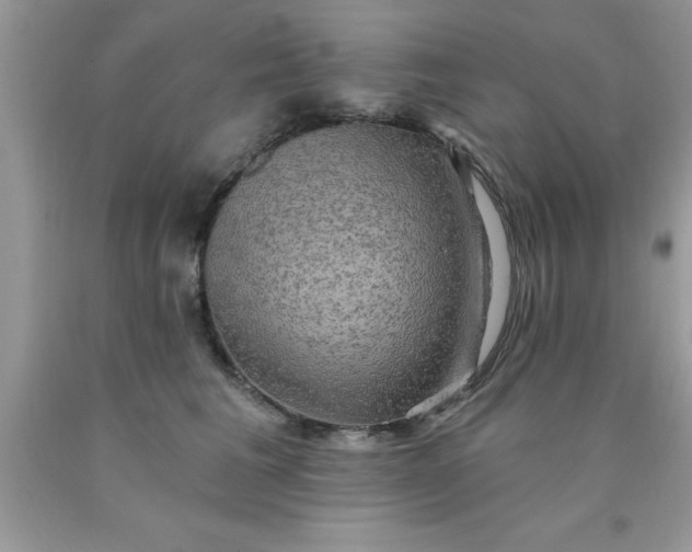 X0000090440613200707272156