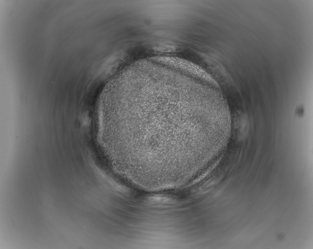 X0000090440614200707272156