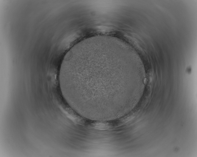 X0000090440615200707272156