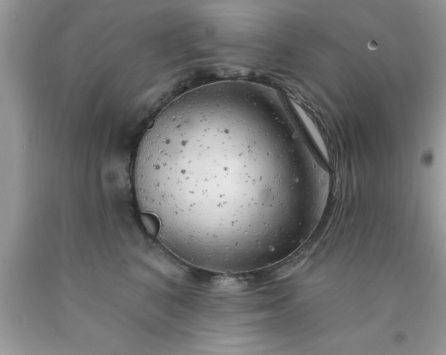 X0000090440616200707272156