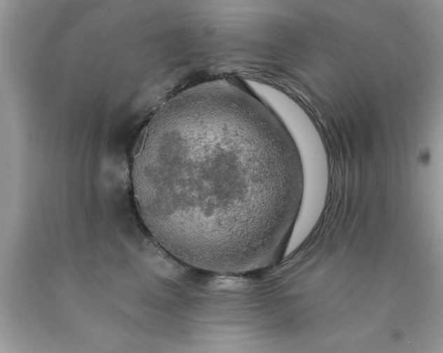 X0000090440617200707272156