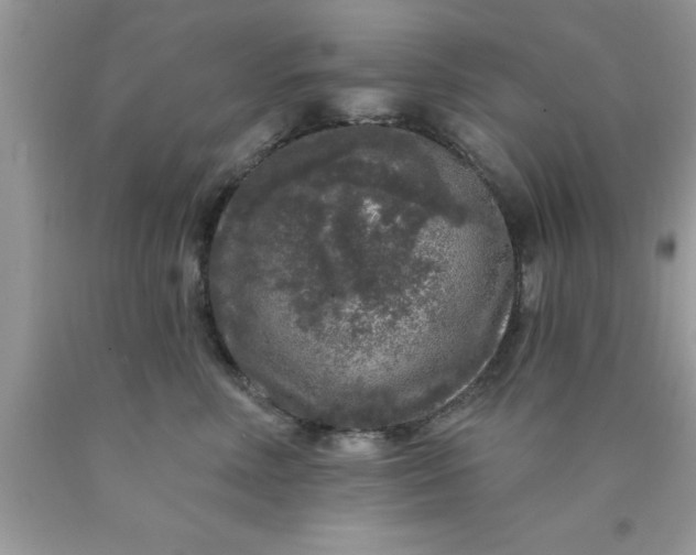 X0000090440618200707272156