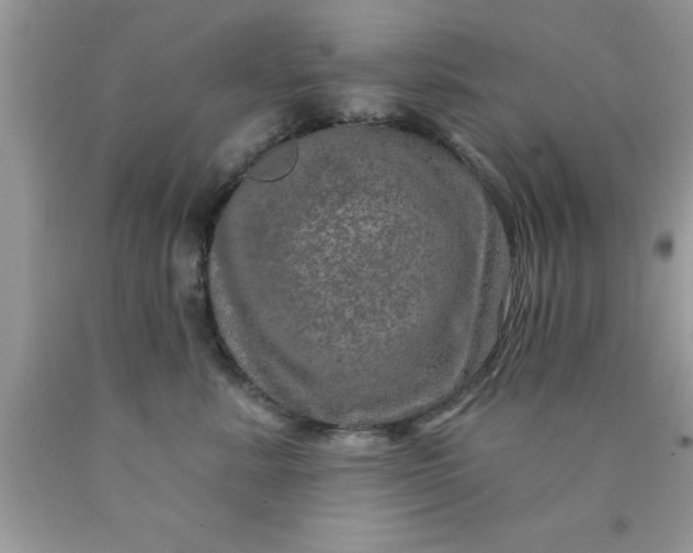 X0000090440619200707272156