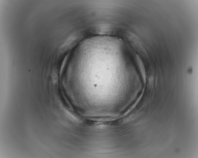 X0000090440620200707272156