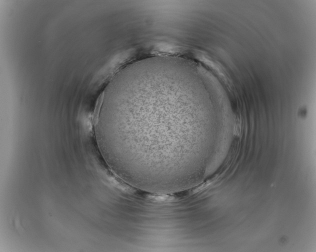 X0000090440621200707272156