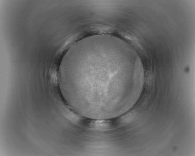 X0000090440622200707272156