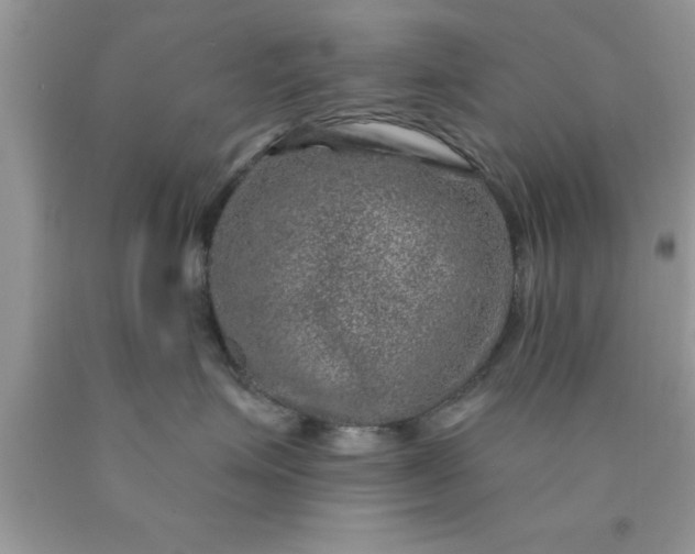 X0000090440623200707272156