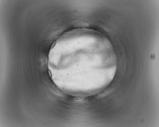 X0000090440624200707272156