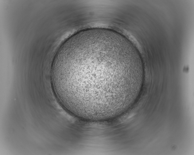 X0000090440625200707272155