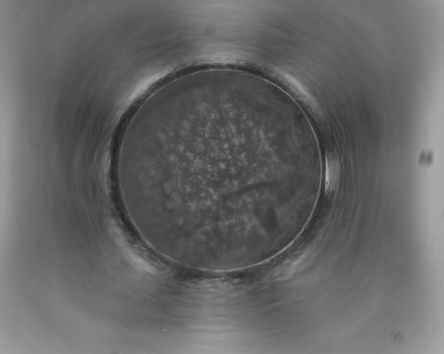 X0000090440627200707272155