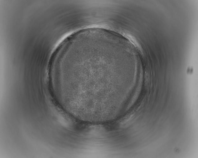 X0000090440628200707272155