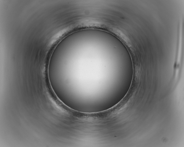 X0000090440629200707272155