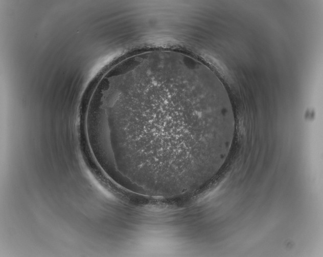 X0000090440630200707272155