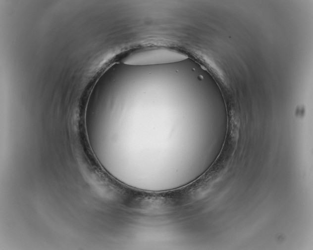 X0000090440631200707272155