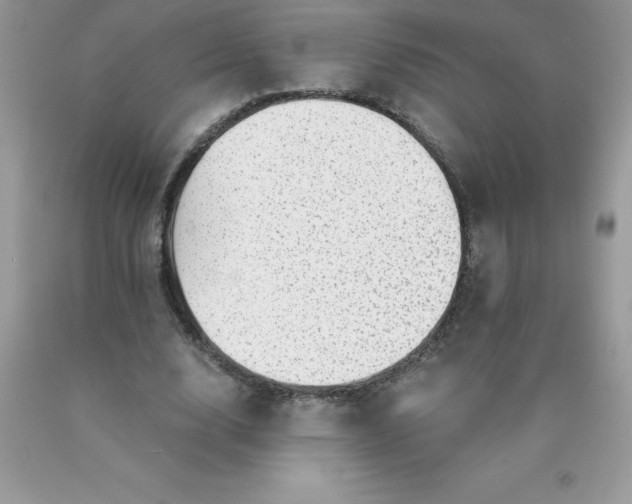 X0000090440632200707272155