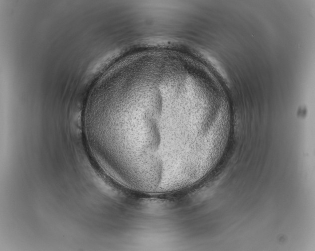 X0000090440633200707272155