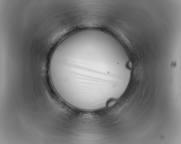 X0000090440635200707272155