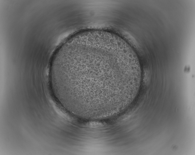 X0000090440636200707272155