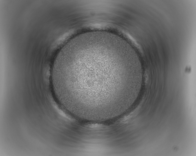 X0000090440637200707272155