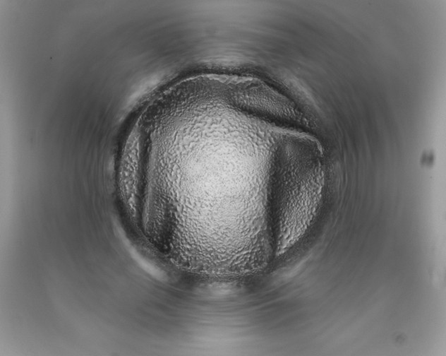 X0000090440638200707272155