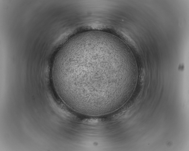 X0000090440639200707272155