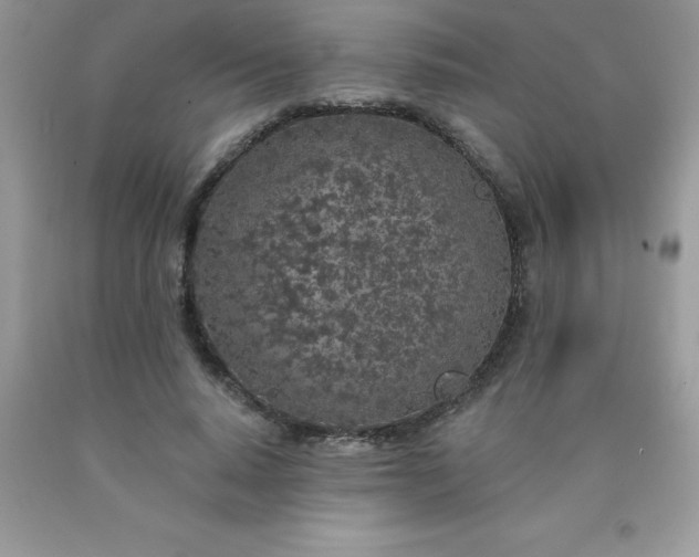 X0000090440640200707272155