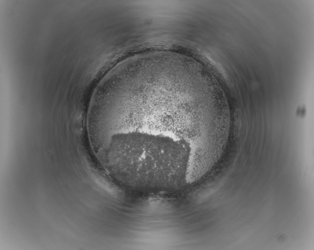 X0000090440641200707272155